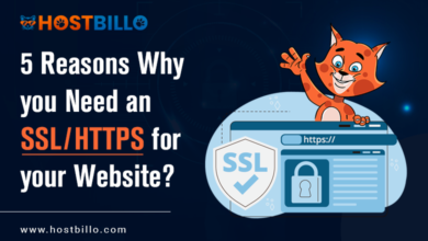 5 Reasons Why you Need an SSL/HTTPS for your Website? 