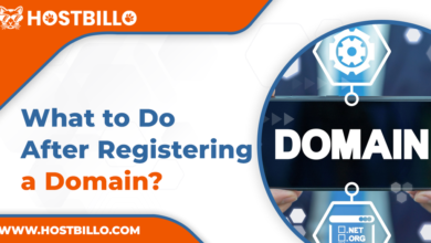 After Registering Domain What to Do?