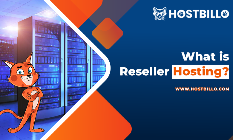 What is reseller hosting?