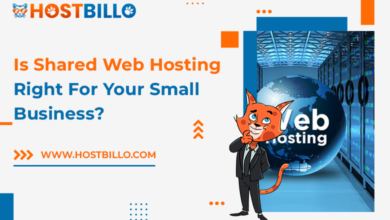 Is Shared Web Hosting Right For Your Small Business?