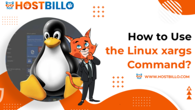 How to Use the xargs Command in Linux | Hostbillo