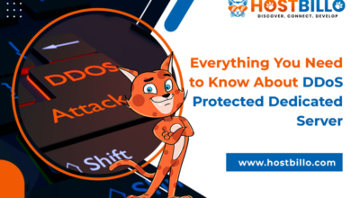 Everything You Need to Know About DDoS Protected Dedicated Server