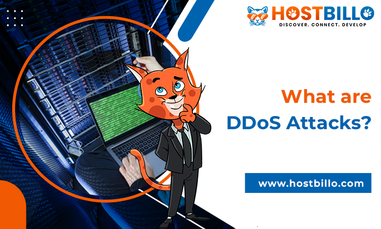 What are DDoS Attacks?