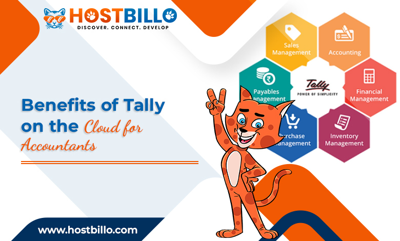 Benefits of Tally on the Cloud for Accountants