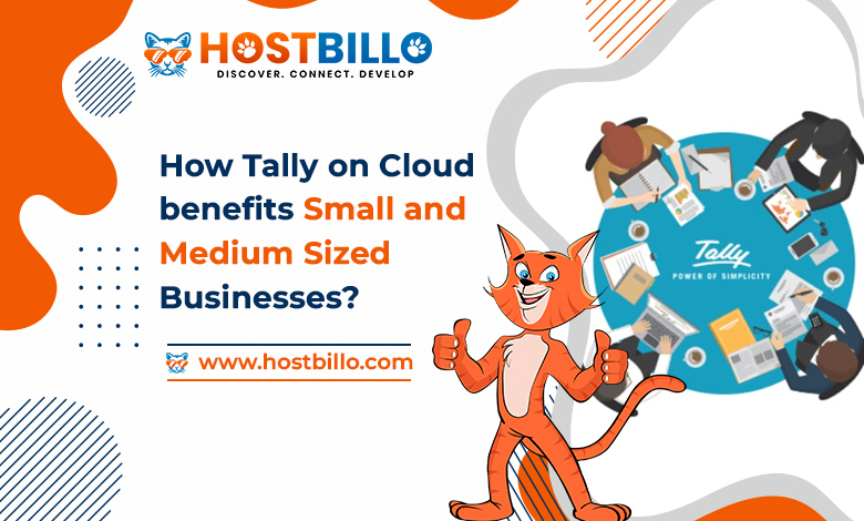 How Tally on Cloud Benefits Small and Medium-Sized Businesses?