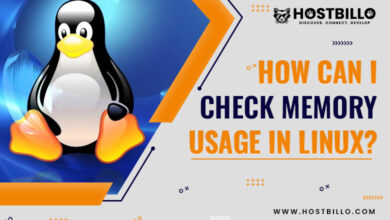 How Can I Check Memory Usage in Linux?