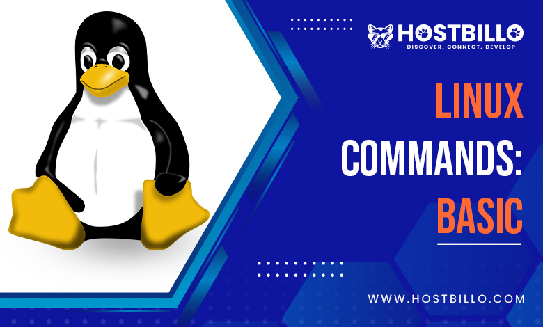 Linux Commands: Basic
