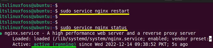 Restarting the Nginx service