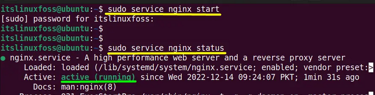 Starting the Nginx services