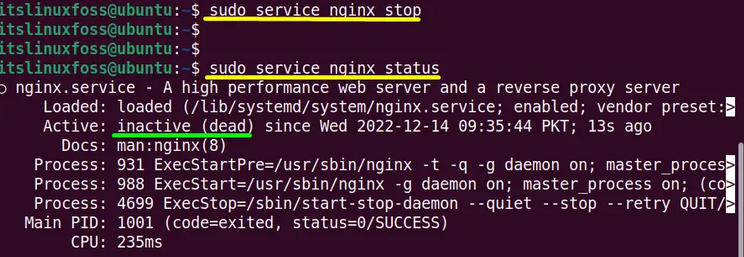 Terminate the Nginx service