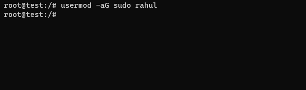 Step 3: Adding User to the Sudo Group
