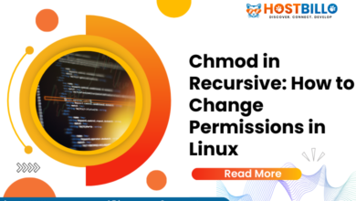 Chmod in Recursive: How to Change Permissions in Linux