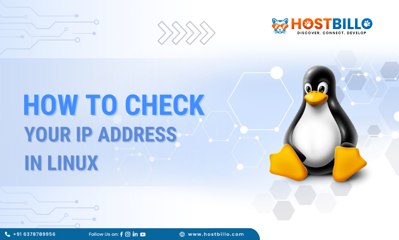 How to Check Your IP Address in Linux