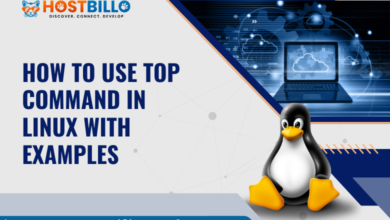 How to use top Command in Linux with Examples