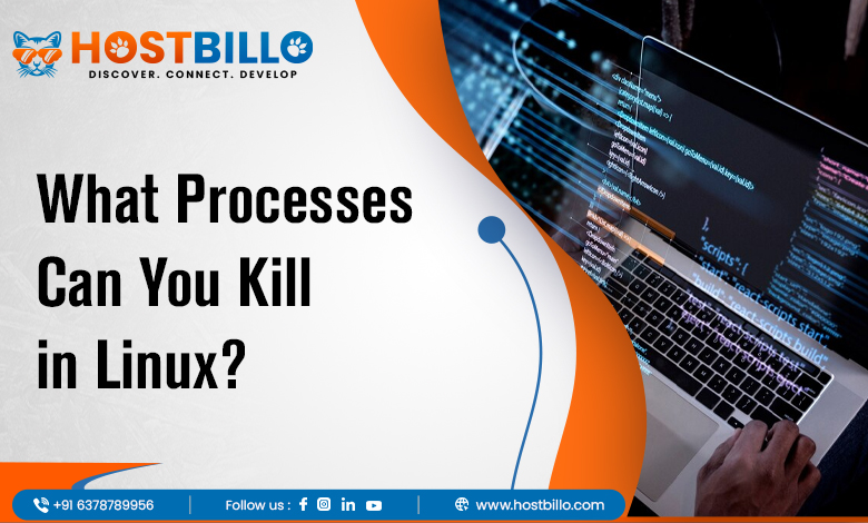 What Processes Can You Kill in Linux?