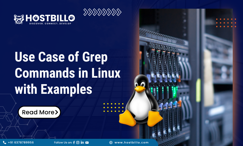 Use Case of Grep Commands in Linux with Examples